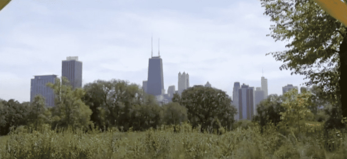 lincolnparkzoo | Sayers Lincoln Park Testimonial